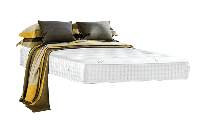 Royal Backcare 2000
